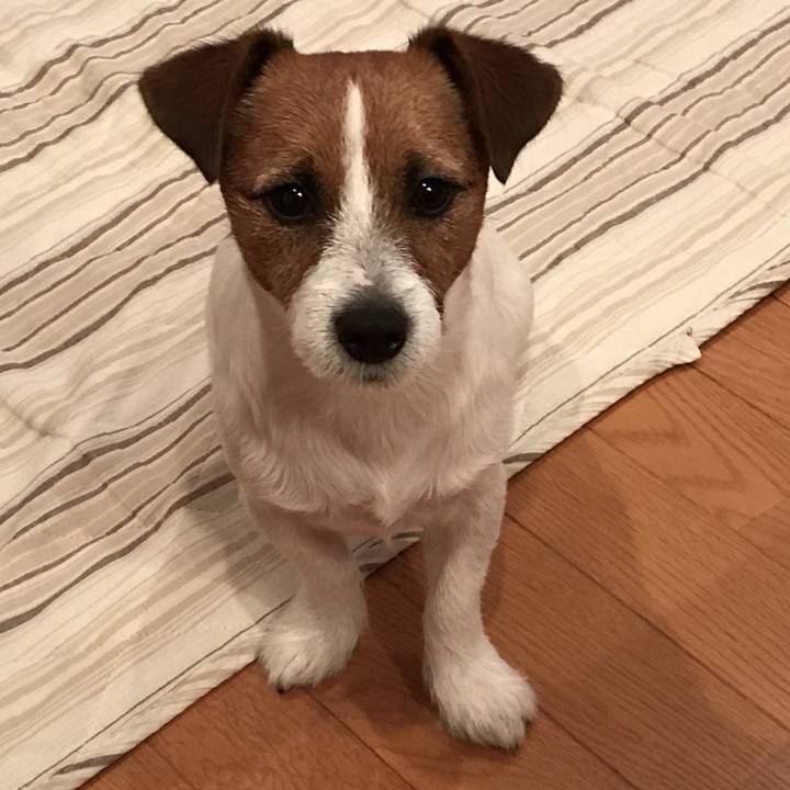 87519591 ff8e 4c21 9bb1 c7ff3622d0dd