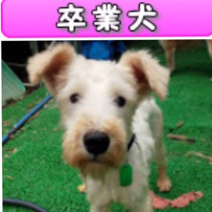 87519640 d015 45d0 b656 d6e48ffed1fb