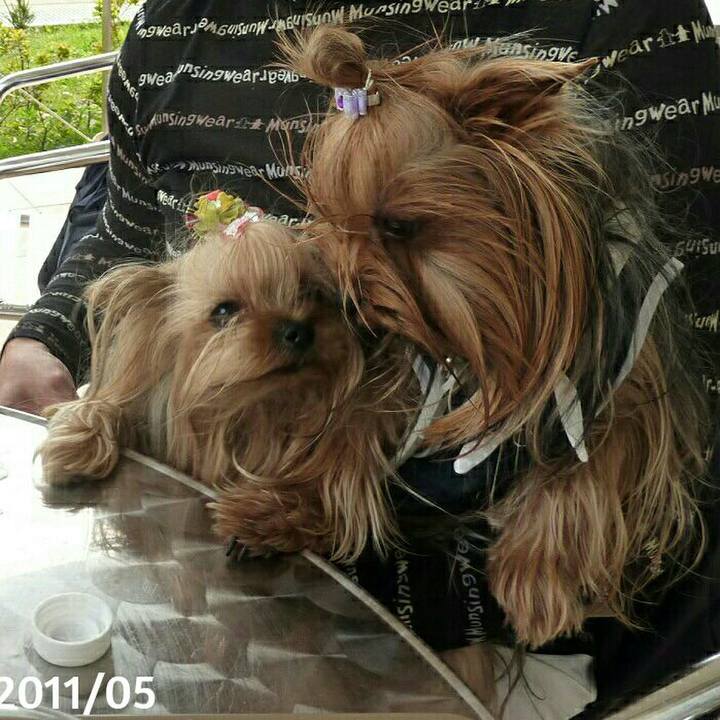 8751bd64 6345 454f aeff 0121af152329