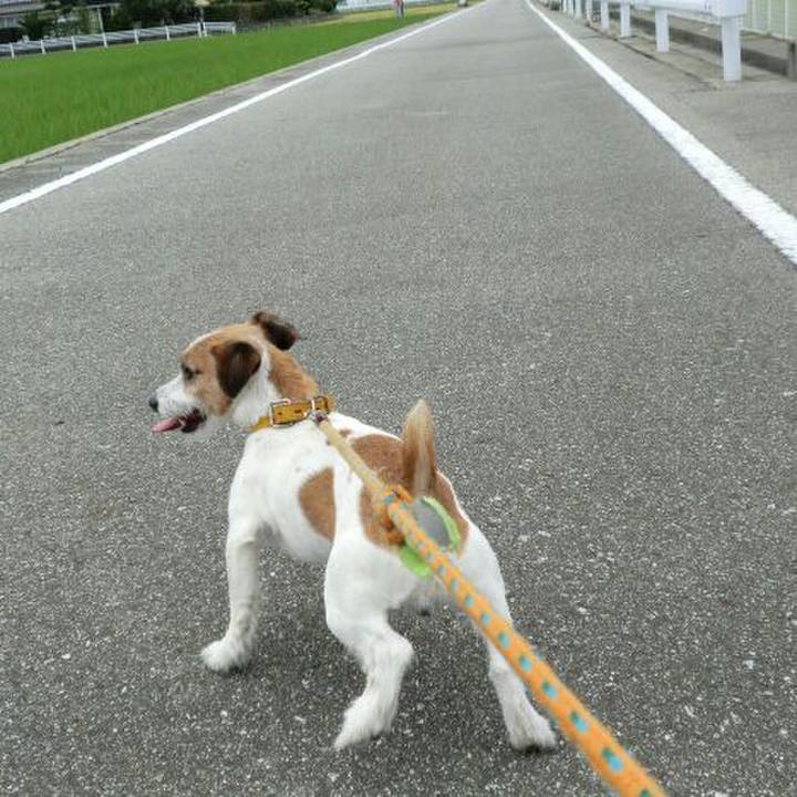 875292e4 279c 4f7a b573 049222785b36