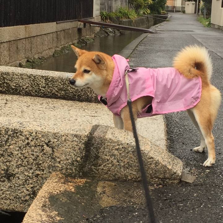 87534fd8 9d65 4982 b2c4 fc59c5cbbc88