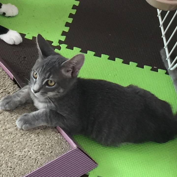 875451f5 2c95 49ac a734 b335d417f0d3