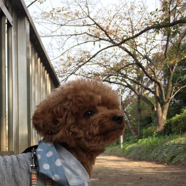 87548544 6779 4dd3 85c5 e6fd1c81d62a