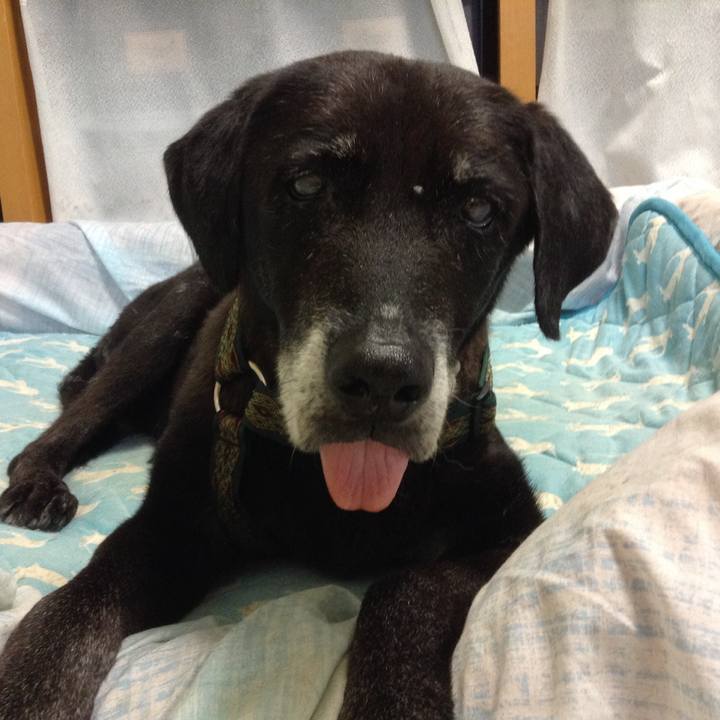 8754ab27 9e7e 4365 b3a3 4106b62abaad