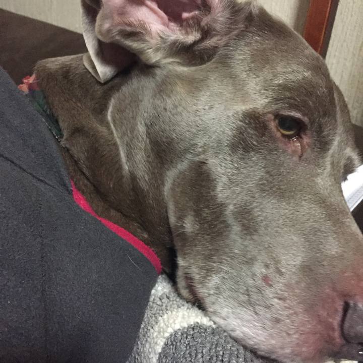 87555124 66d1 40ac 92fb 3af588e86a87