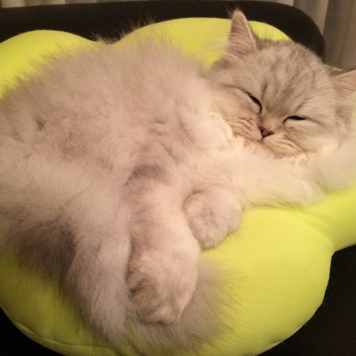 8755831c 1c25 4123 8a77 a40e81949c1c