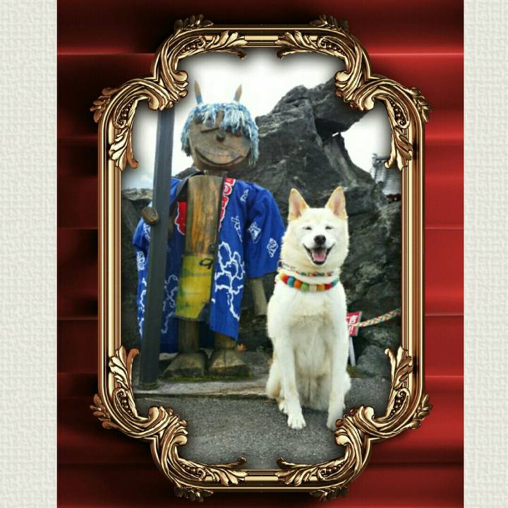 8755989d f4b6 4947 99a3 af5059a9c51e