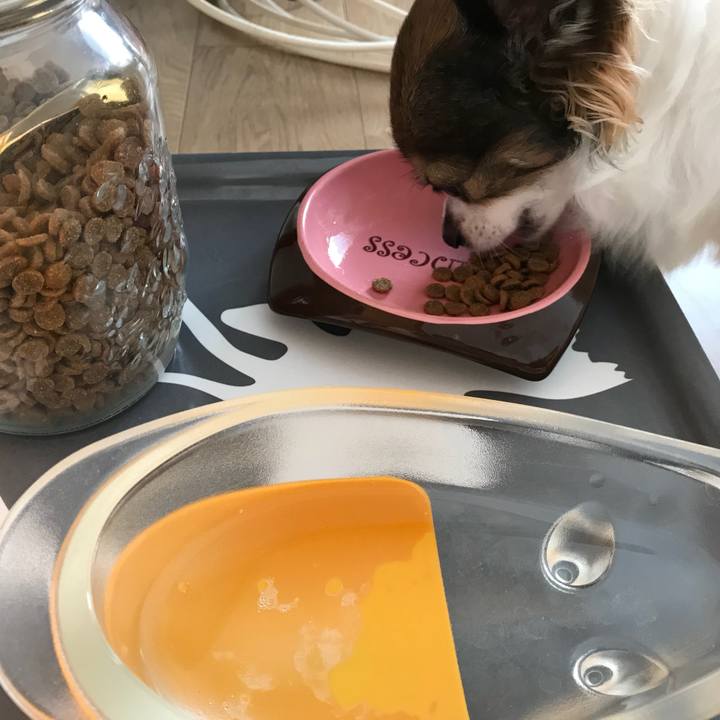 875707e7 7f49 497c 9282 d5cab119beb6