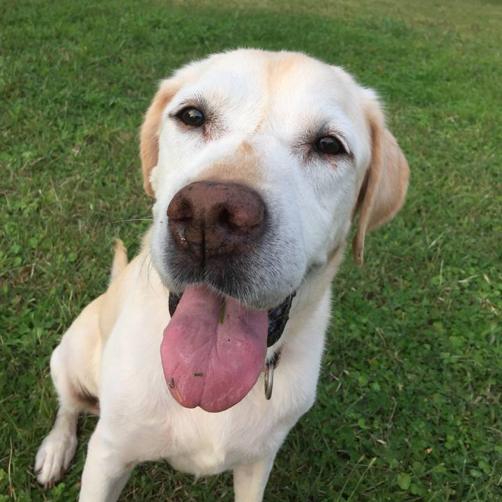 87576b6f 00b3 41ee 8f21 835495bb7313