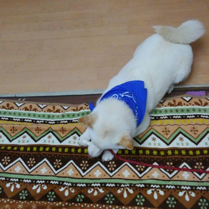 8757d0e4 1659 4b4d 9ad5 ba0128af2490