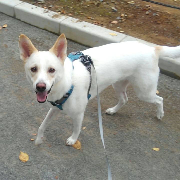 8758273c e4c2 495d 927d a0716dd536c2