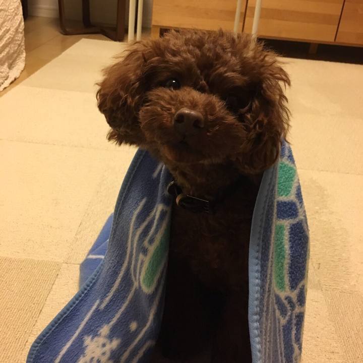 875926e1 c183 41e2 a58d 69a0f019a926