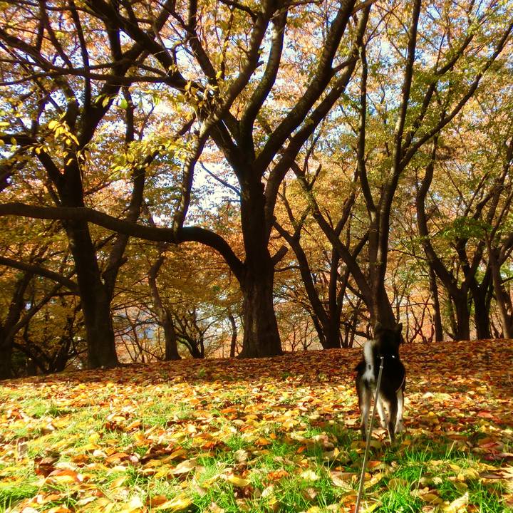 87594a62 99b3 406c 9381 75840cd6d595