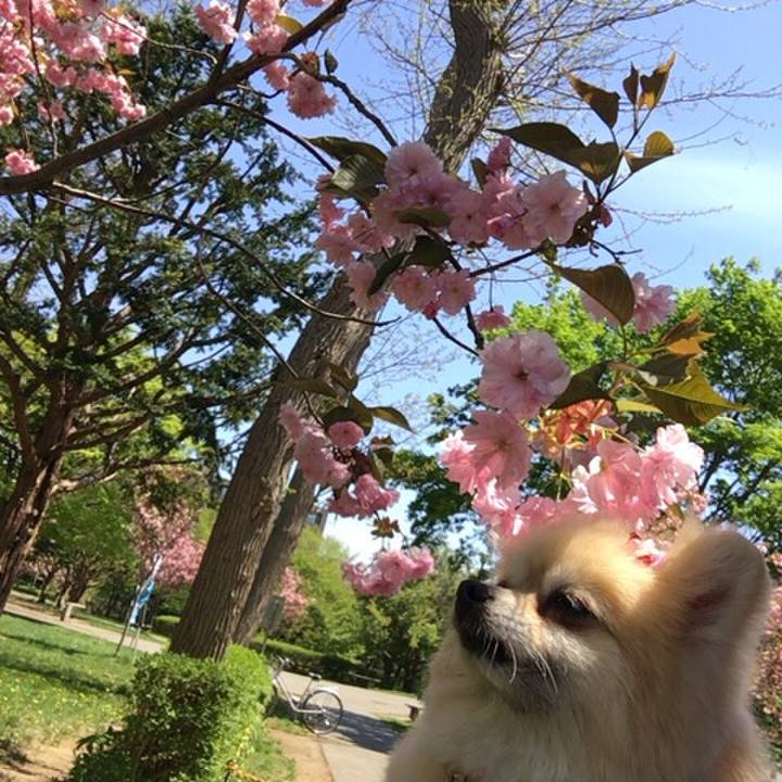 875994ca 3953 48bd 96d3 a6c2b4dc5822