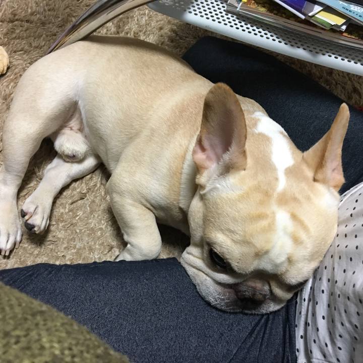 8759a0b5 26eb 4214 b2f3 7c3733c12256