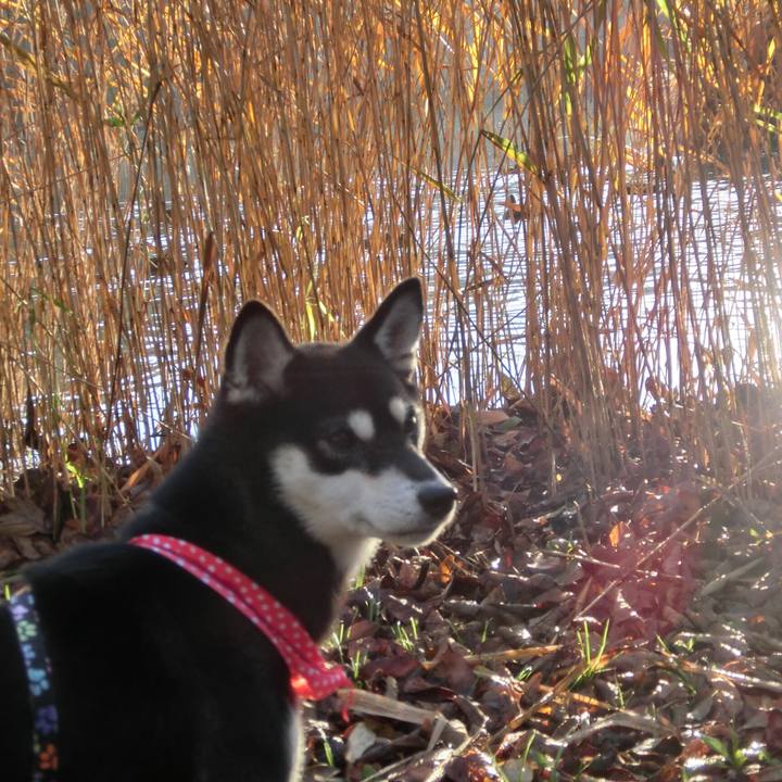 875a000a 6ecf 4b0a be22 ed906a27853c