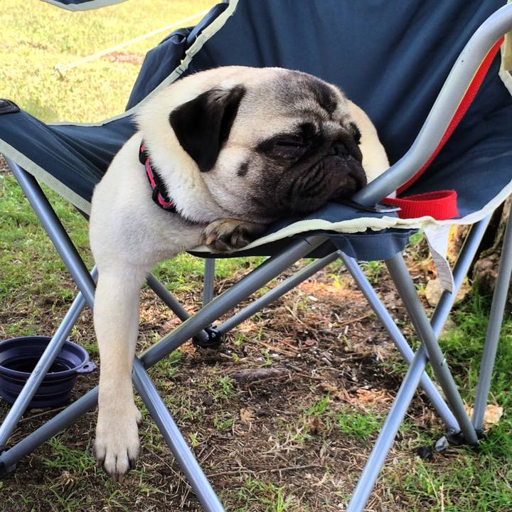 875a11c1 b04f 4ef8 a9e8 64f98aad3690