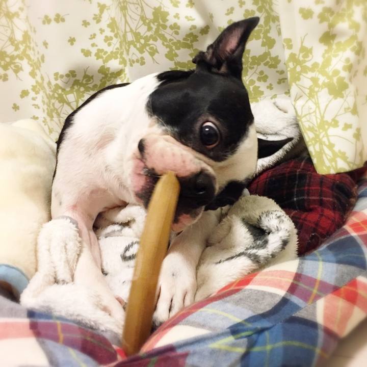 875a35f3 e0ac 4e62 9884 680f9a6a4b7a