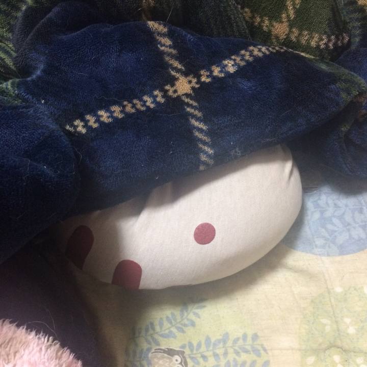 875a6f83 3108 4201 93ea 31e259d18036