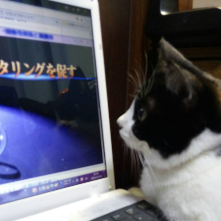 875ab1cc 044a 4c35 bb86 c580e7420d74