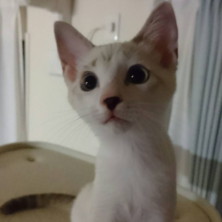 875ac88a 7905 4974 b5c2 b646e8b86de7