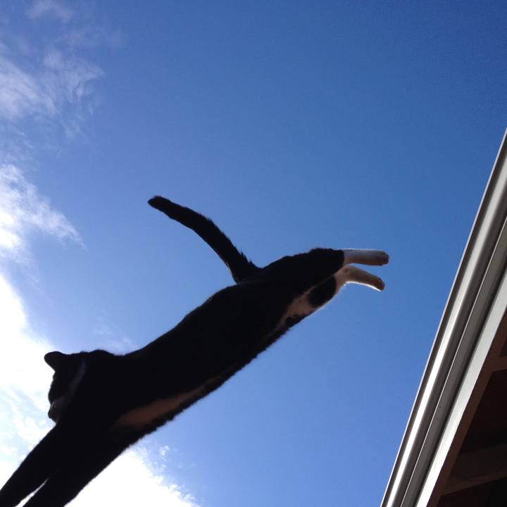 875ae76b c36b 43ad ba33 38a2543737c0