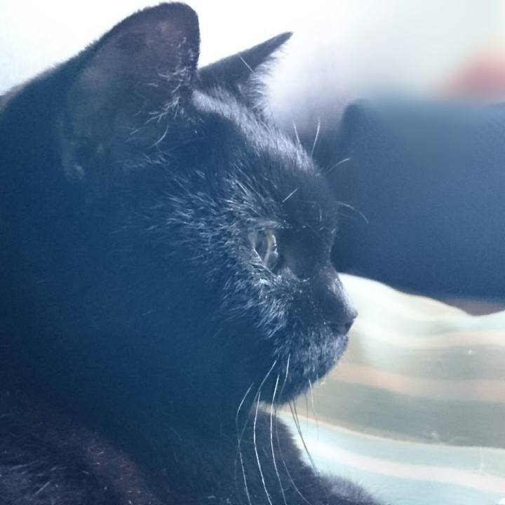 875b2355 0594 4041 b24f 19a4aebb4b4b