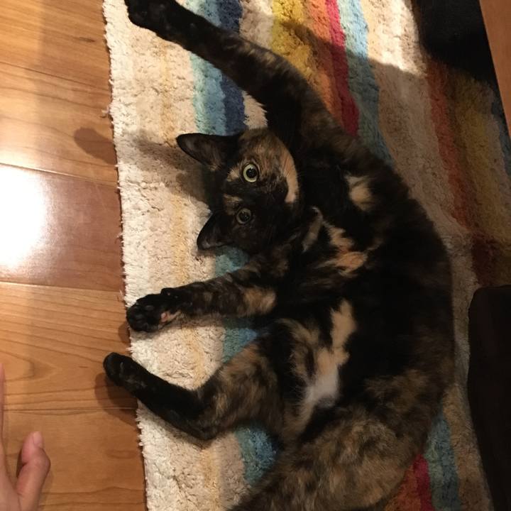 875b9f94 046d 403f a4ce 3a2eecbad4bb