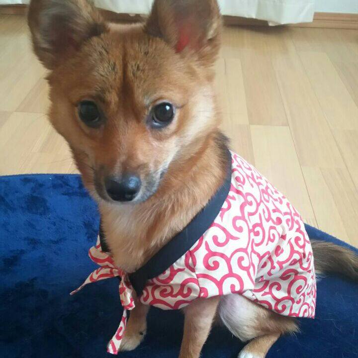 875ba0d8 1d1a 4538 96e8 3b3638016bc3