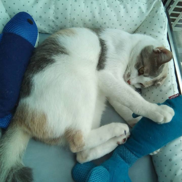 875c34d5 d4e7 4d12 8873 d1f1bd246b66