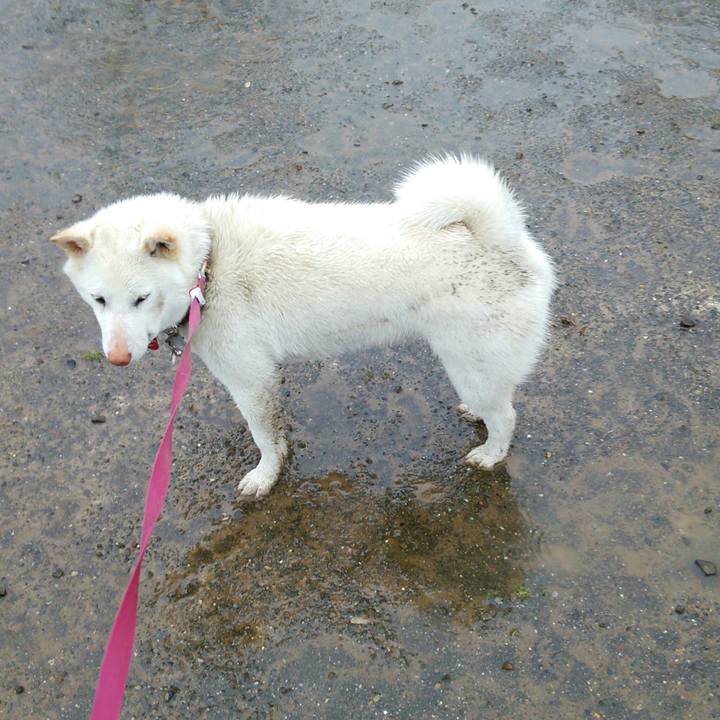 875c6d96 db0c 4450 beb5 b588a62df687