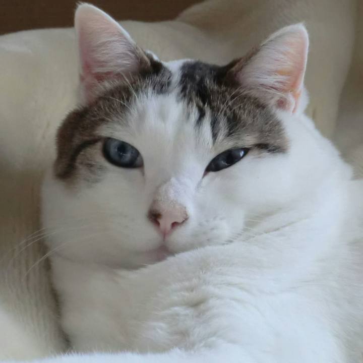 875ccdda 00c1 46da ab32 cd381f3f8fb5