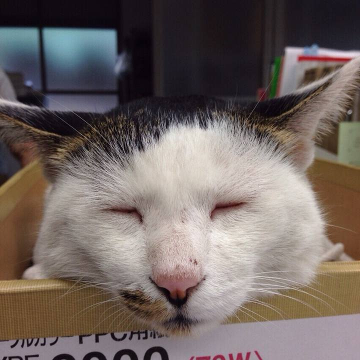 875d39e3 ac18 47a9 9990 809ebc82298f