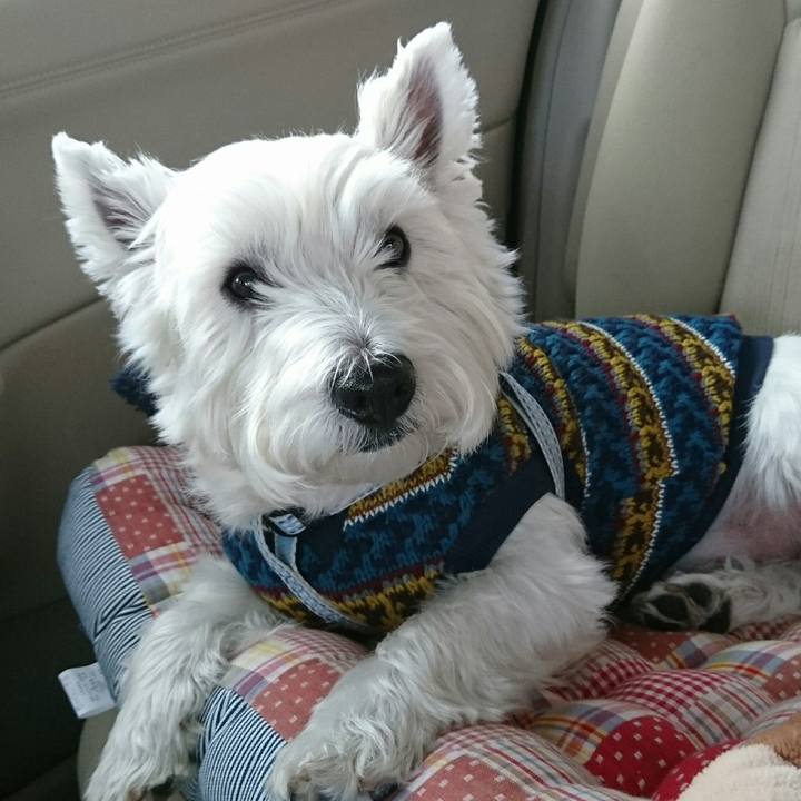 875e6e7a c18f 438d b583 23ecf2706b38