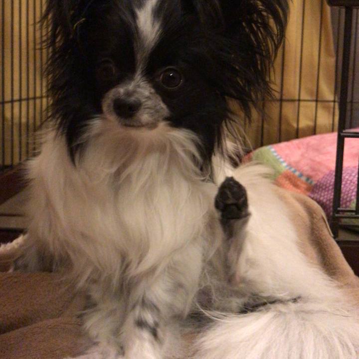 875eea43 9ea9 42b7 b1a3 70a070fc9772