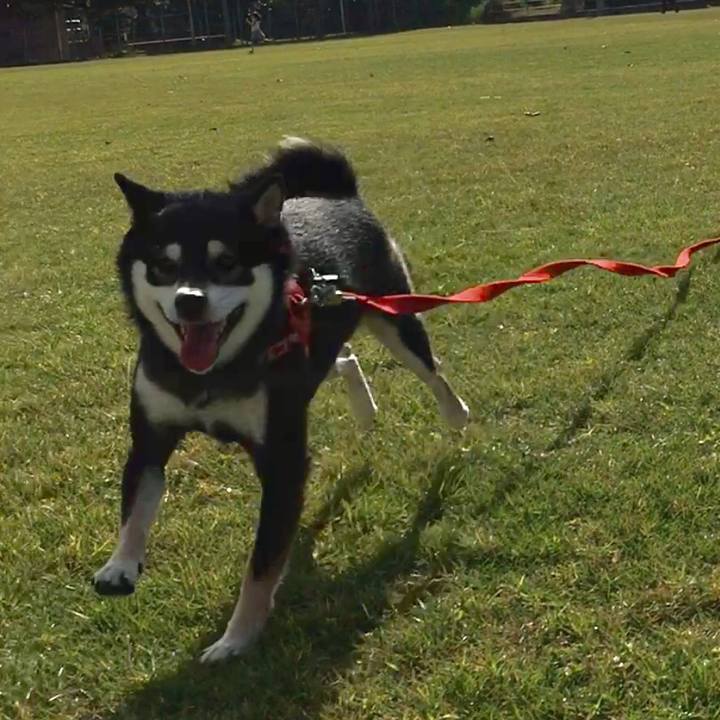 875f24d4 9fab 4b51 929b 860b4928409f