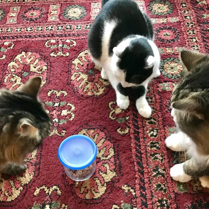 8760197a 8afd 4879 8e83 8d48249a0ffb