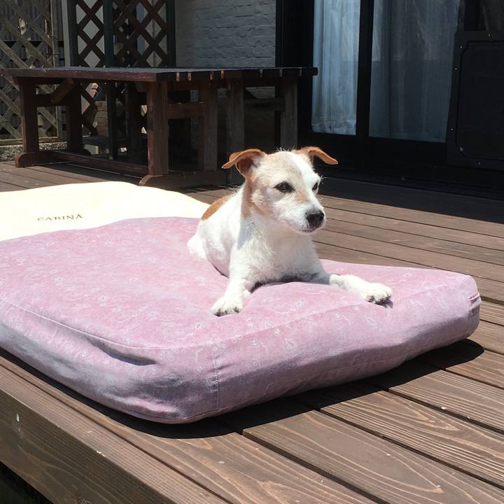 87602a87 27d0 40dc 8d47 7c49ce7d95f8