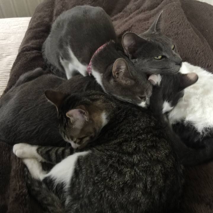 8760727e 9b1a 41fa 954f 16b8bf841fcd