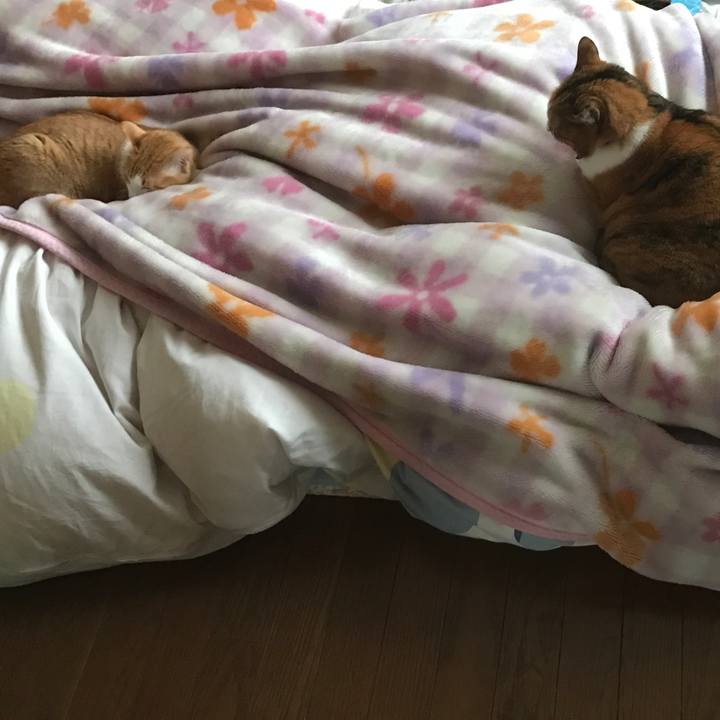 8760e3b3 10b5 4e00 8e39 5a095739569d