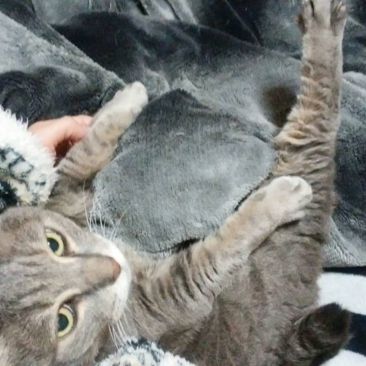 87614d58 e421 4298 9441 28fbc96ff7c7