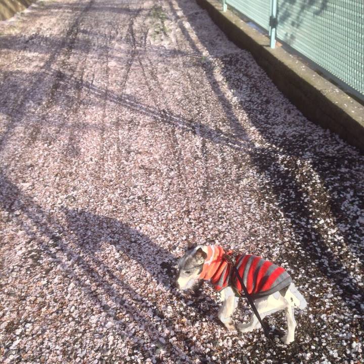 87616abf 0f72 4487 9256 c19274e6545e