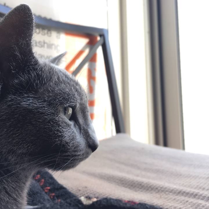 8761c15a 091b 460d afa6 a32ada4ac8ee