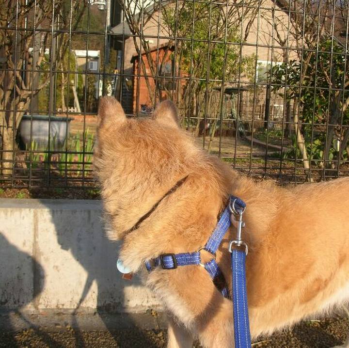 87630fc9 be84 43b0 a7fb d5c4fa9cd7b0