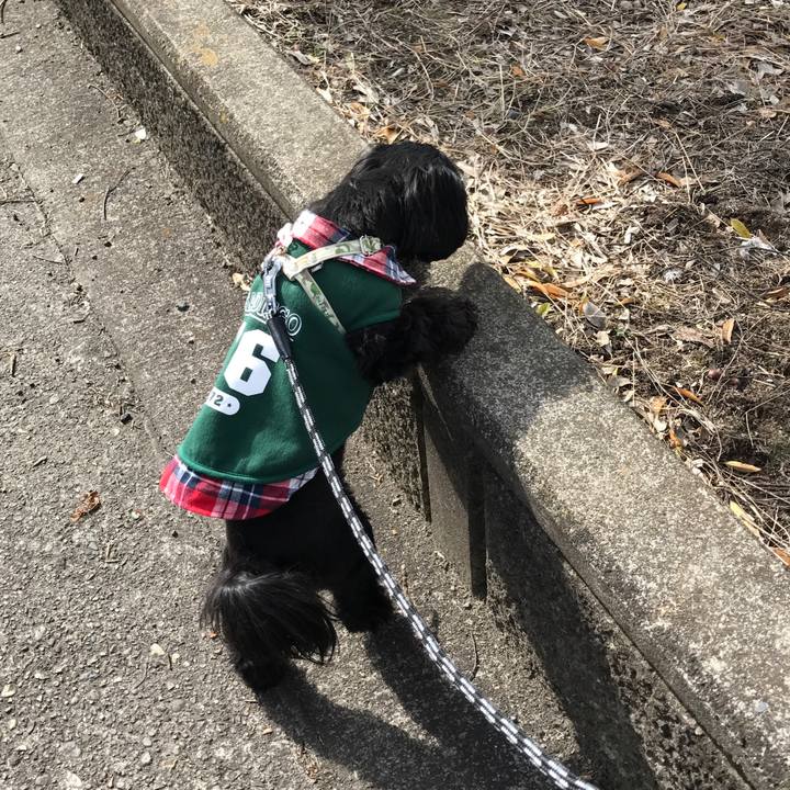 876371f8 1398 4cc8 a62c 5d3311eefdcf