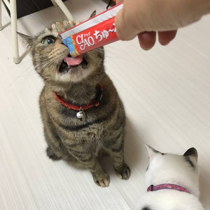 876399bf e957 4fa5 b05a 11c235abe27c