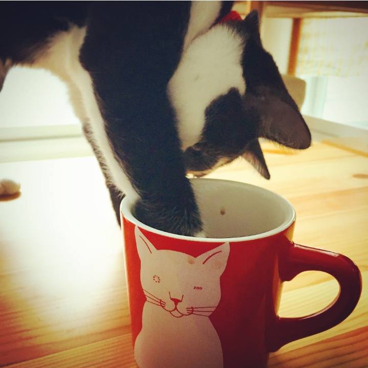 8763c9e9 6ff2 4d81 9928 8446606941fe