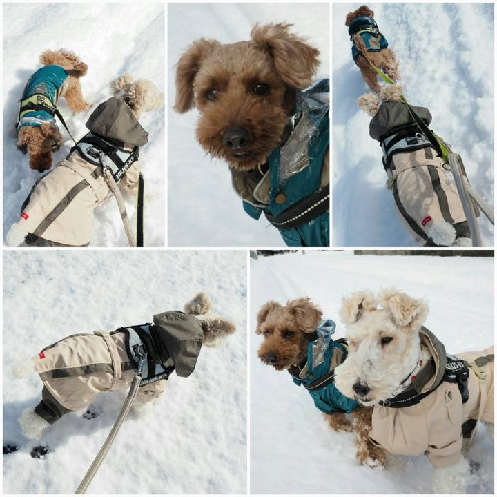 8764618f fadb 4a5d 9db6 162f069d5347