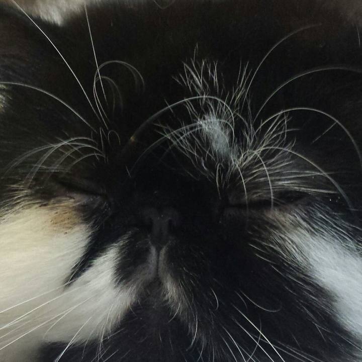 87646cb7 8921 46ad a35d 576ebc905741