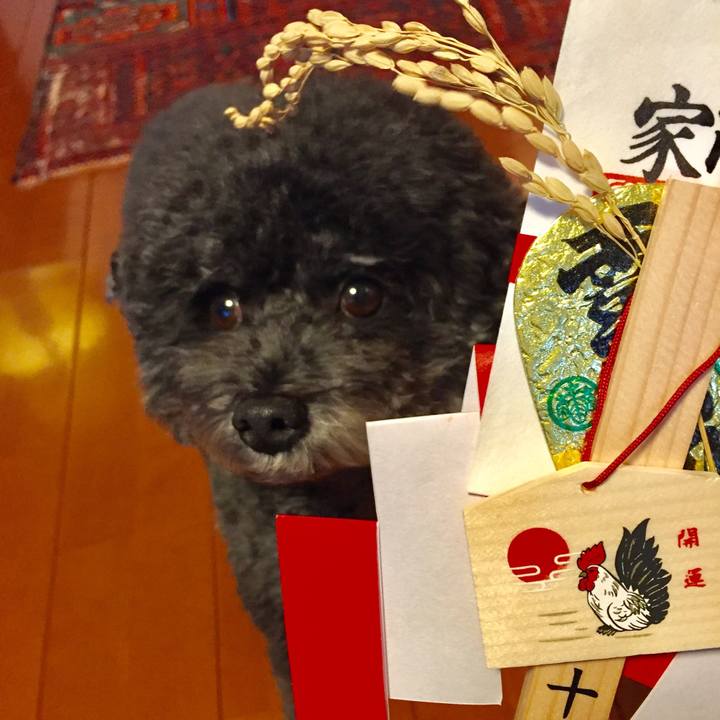 87647891 b7b3 4930 b895 c8c1736182bc